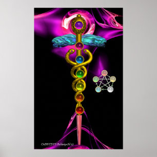GOLD CADUCEUS EN 7 CHAKRAS IN PINK FRACTAL ROOS POSTER