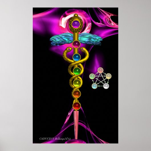 GOLD CADUCEUS EN 7 CHAKRAS IN PINK FRACTAL ROOS POSTER (Voorkant)