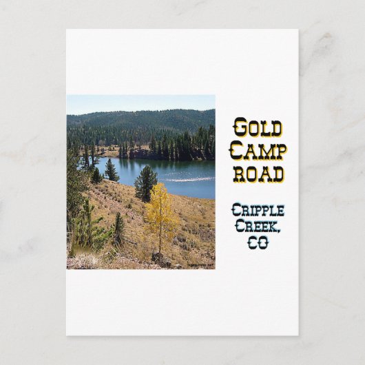 Gold Camp Road Briefkaart (Voorkant)