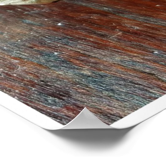 Gold Coin Ring Poster (Hoek)