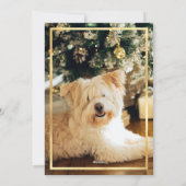 Gold Confetti Border Green Photo Collage Kerstmis Feestdagenkaart (Achterkant)