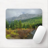 Gold Creek Muismat (Met muis)