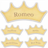 Gold Crown Barn Tack & Feed Room Name Labels (Voorkant)