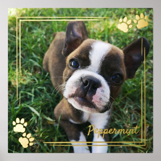Gold Dog Paw Print Lijst Dog Foto & Name (Voorkant)