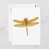 Gold Dragonfly-Briefkaart Briefkaart (Voorkant / Achterkant)