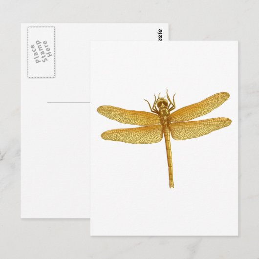 Gold Dragonfly-Briefkaart Briefkaart (Voorkant / Achterkant)