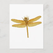 Gold Dragonfly-Briefkaart Briefkaart (Voorkant)