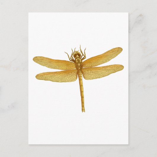 Gold Dragonfly-Briefkaart Briefkaart (Voorkant)