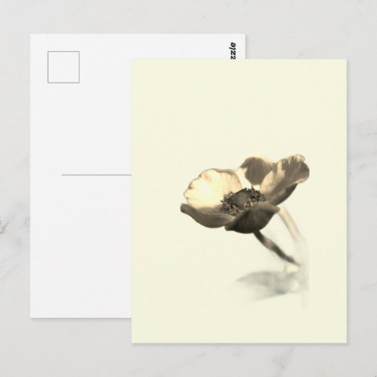 Gold Dream Flowers – Sepia Minimalist Nature  Briefkaart (Voorkant / Achterkant)