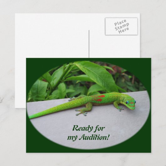 Gold Dust Day Gecko - Auditie en krijg wat Gecko Briefkaart (Voorkant / Achterkant)
