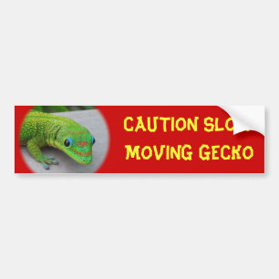 Gold Dust Day Gecko - Auditie en krijg wat Gecko Bumpersticker