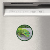 Gold Dust Day Gecko - Auditie en krijg wat Gecko Magneet (Insitu (Vaatwasser))
