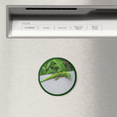 Gold Dust Day Gecko - Auditie en krijg wat Gecko Magneet (Insitu (Vaatwasser))