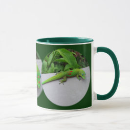Gold Dust Day Gecko - Auditie en krijg wat Gecko Mok