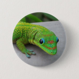 Gold Dust Day Gecko - Auditie en krijg wat Gecko Ronde Button 5,7 Cm