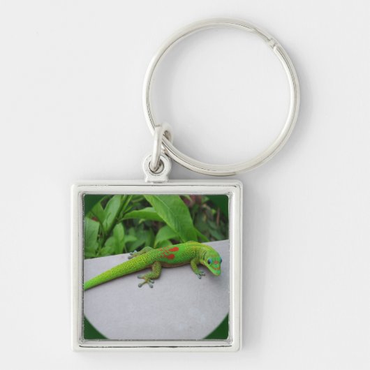 Gold Dust Day Gecko - Auditie en krijg wat Gecko Sleutelhanger (Voorkant)