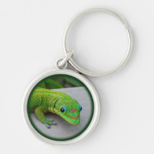 Gold Dust Day Gecko - Auditie en krijg wat Gecko Sleutelhanger