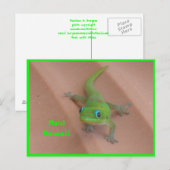 Gold Dust Day Gecko Briefkaart (Voorkant / Achterkant)