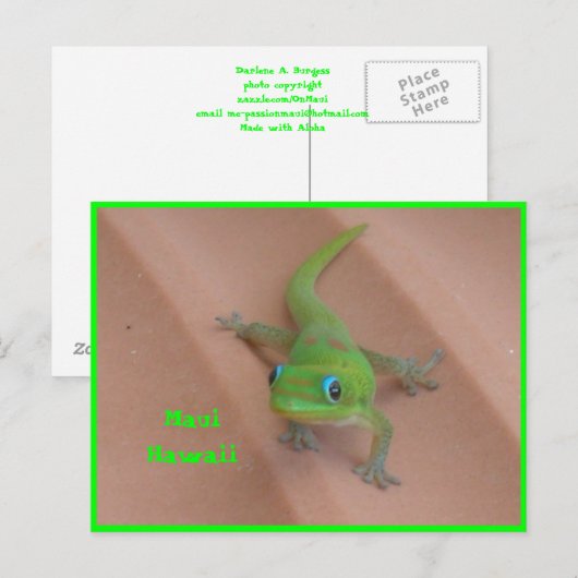 Gold Dust Day Gecko Briefkaart (Voorkant / Achterkant)