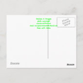 Gold Dust Day Gecko Briefkaart (Achterkant)