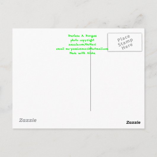 Gold Dust Day Gecko Briefkaart (Achterkant)