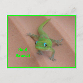 Gold Dust Day Gecko Briefkaart