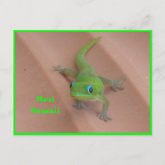 Gold Dust Day Gecko Briefkaart (Voorkant)