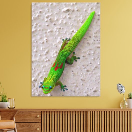 Gold Dust Day Gecko Canvas Afdruk (Insitu (Woonkamer))