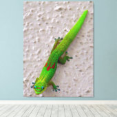Gold Dust Day Gecko Canvas Afdruk (Insitu (Houten vloer))