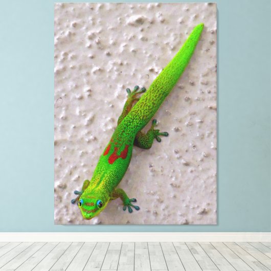 Gold Dust Day Gecko Canvas Afdruk (Insitu (Houten vloer))
