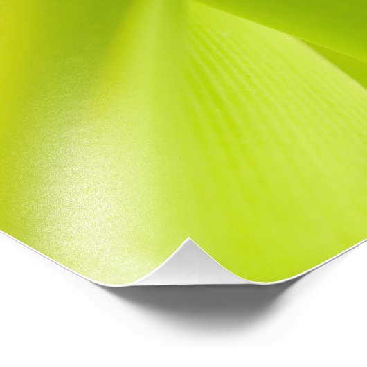 Gold Dust Day Gecko Foto Afdruk (Hoek)