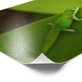 Gold Dust Day Gecko Foto Afdruk (Hoek)