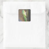 Gold Dust Day Gecko Foto Vierkante Sticker (Tas)