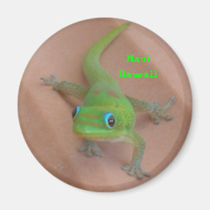 Gold Dust Day Gecko Magneet