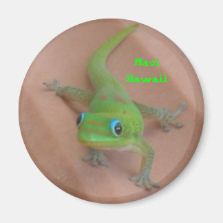Gold Dust Day Gecko Magneet