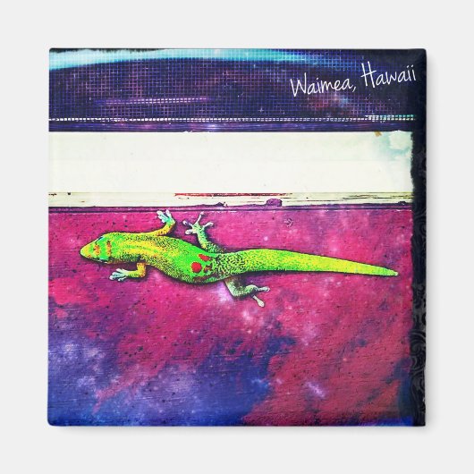 Gold Dust Day Gecko Magneet (Voorkant)