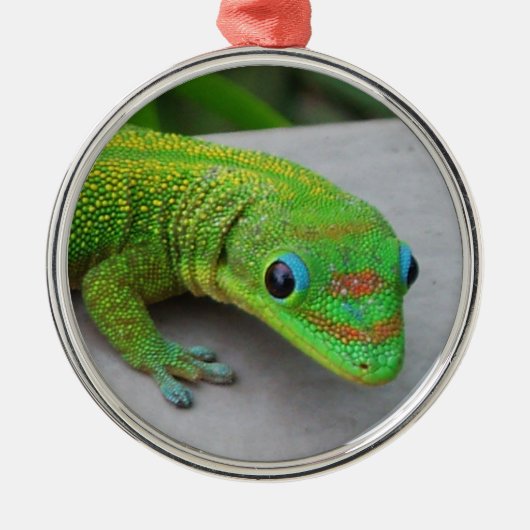 Gold Dust Day Gecko Ornament (Voorkant)