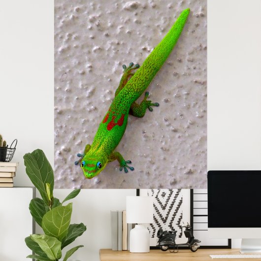 Gold Dust Day Gecko Poster (Thuiskantoor)