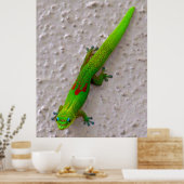 Gold Dust Day Gecko Poster (Keuken)