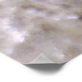 Gold Dust Day Gecko Poster (Hoek)