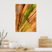 Gold Dust Gecko Poster (Keuken)