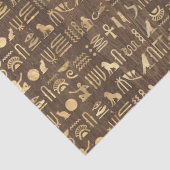 Gold Egyptische Hieroglyphs op bruine ontkoppeling Tissuepapier (Detail)