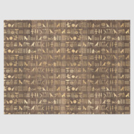 Gold Egyptische Hieroglyphs op bruine ontkoppeling Tissuepapier