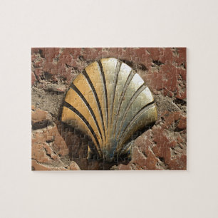 Gold El Camino-shell, bestrating, Leon, Spanje Legpuzzel