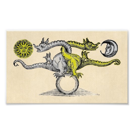 Gold- en Silver Dragon-symbool Foto Afdruk (Voorkant)