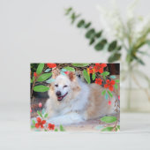 Gold en White Collie Mix Dog met Flowers Briefkaart (Staand voorkant)
