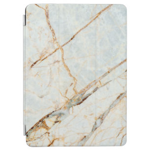 Gold Faux Classy Marble Pattern iPad Air Cover