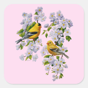 Gold Finch Birds & Apple Tree Pink Vierkante Sticker