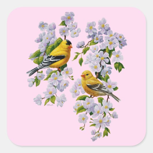 Gold Finch Birds & Apple Tree Pink Vierkante Sticker (Voorkant)