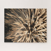 Gold Fireworks Explosion Legpuzzel (Horizontaal)